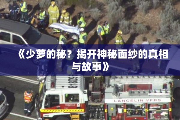 《少萝的秘？揭开神秘面纱的真相与故事》