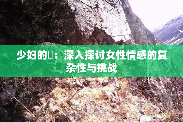 少妇的婬：深入探讨女性情感的复杂性与挑战