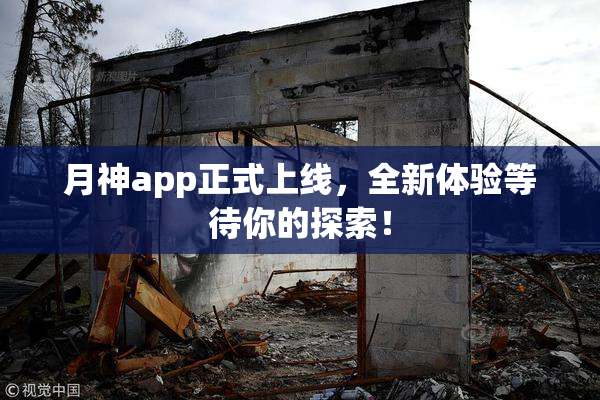 月神app正式上线，全新体验等待你的探索！