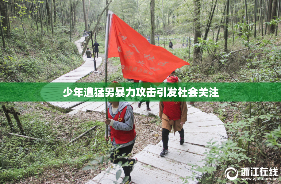 少年遭猛男暴力攻击引发社会关注