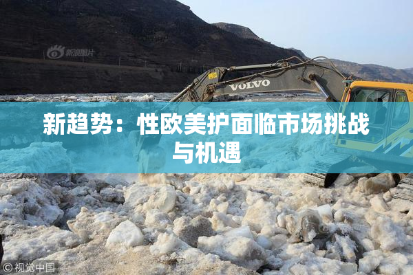 新趋势：性欧美护面临市场挑战与机遇