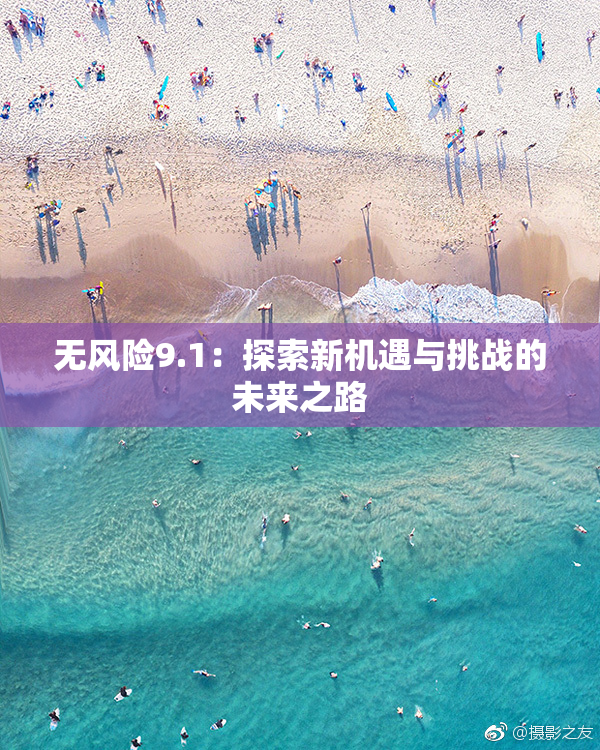 无风险9.1：探索新机遇与挑战的未来之路