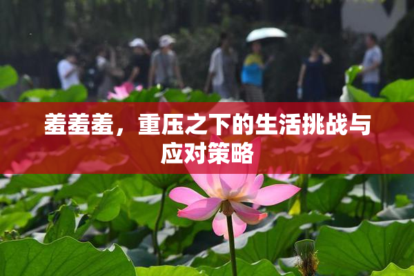 羞羞羞，重压之下的生活挑战与应对策略