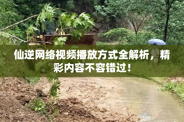 仙逆网络视频播放方式全解析，精彩内容不容错过！