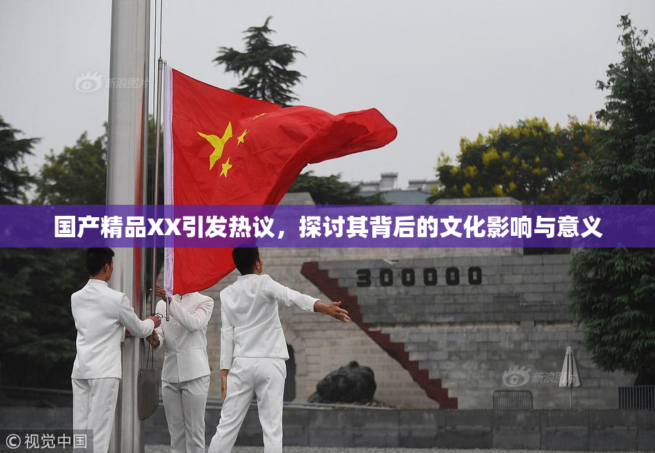 国产精品XX引发热议，探讨其背后的文化影响与意义