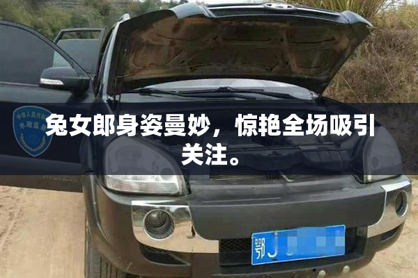 兔女郎身姿曼妙，惊艳全场吸引关注。