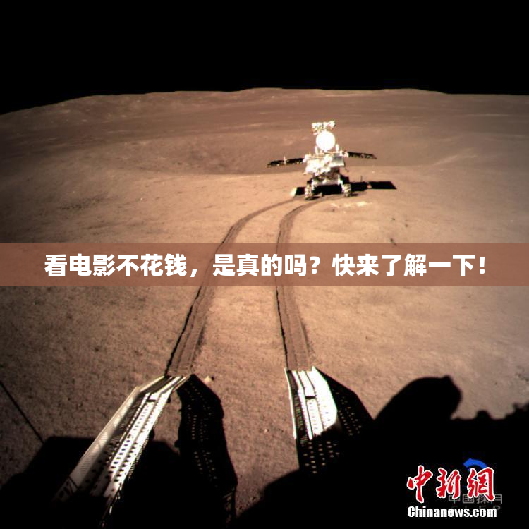 看电影不花钱，是真的吗？快来了解一下！