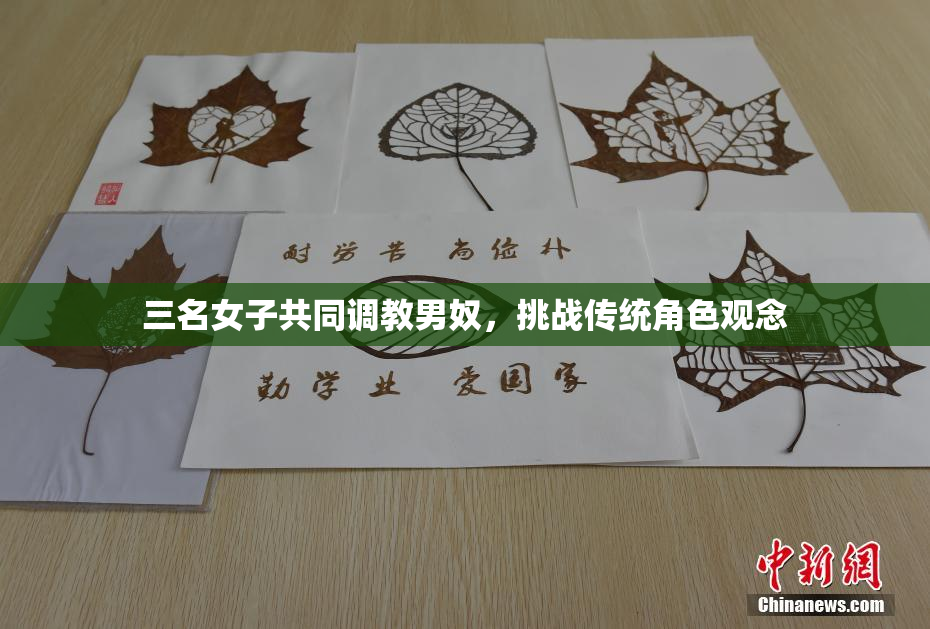 三名女子共同调教男奴，挑战传统角色观念
