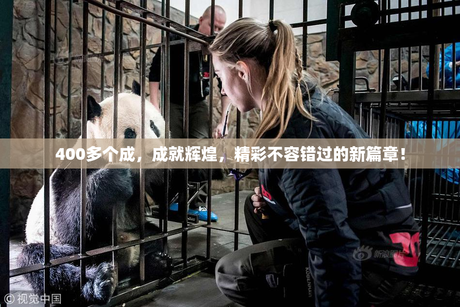 400多个成，成就辉煌，精彩不容错过的新篇章！
