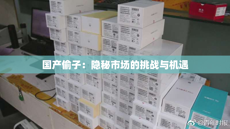 国产偷子：隐秘市场的挑战与机遇