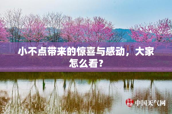 小不点带来的惊喜与感动，大家怎么看？