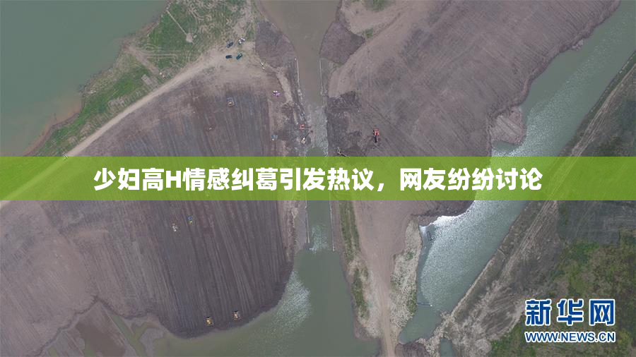 少妇高H情感纠葛引发热议，网友纷纷讨论