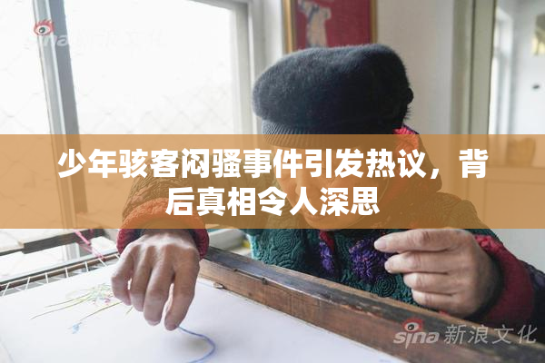 少年骇客闷骚事件引发热议，背后真相令人深思