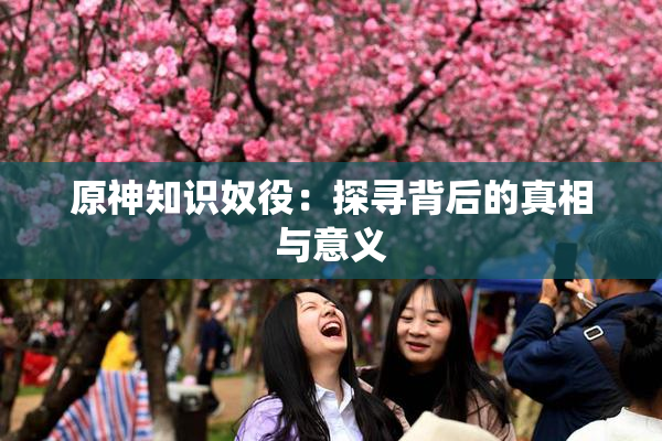 原神知识奴役：探寻背后的真相与意义
