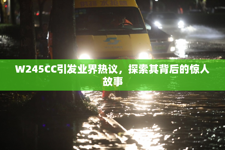 W245CC引发业界热议，探索其背后的惊人故事