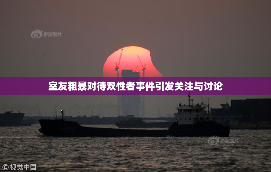 室友粗暴对待双性者事件引发关注与讨论