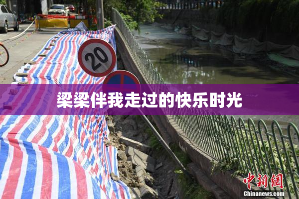 梁梁伴我走过的快乐时光