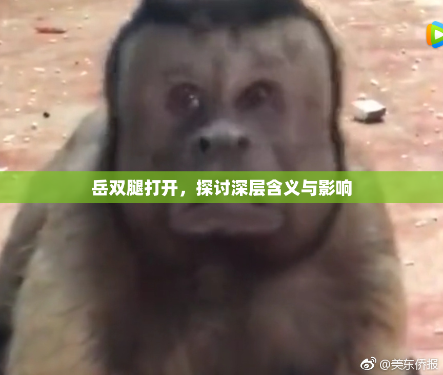 岳双腿打开，探讨深层含义与影响
