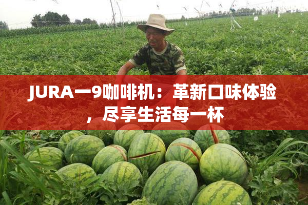 JURA一9咖啡机：革新口味体验，尽享生活每一杯