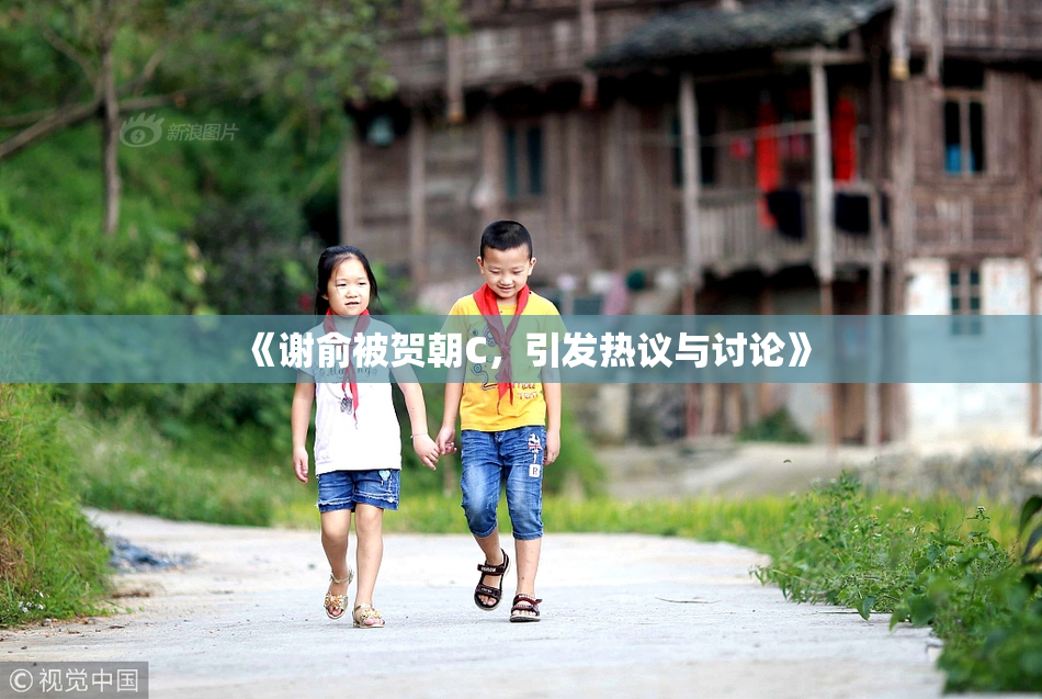 《谢俞被贺朝C，引发热议与讨论》