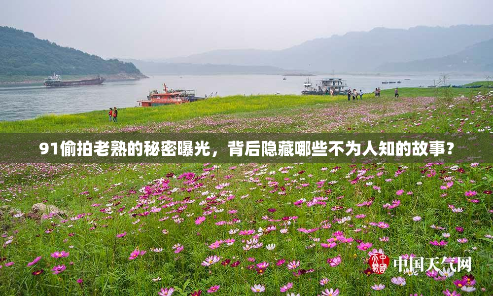 91偷拍老熟的秘密曝光，背后隐藏哪些不为人知的故事？