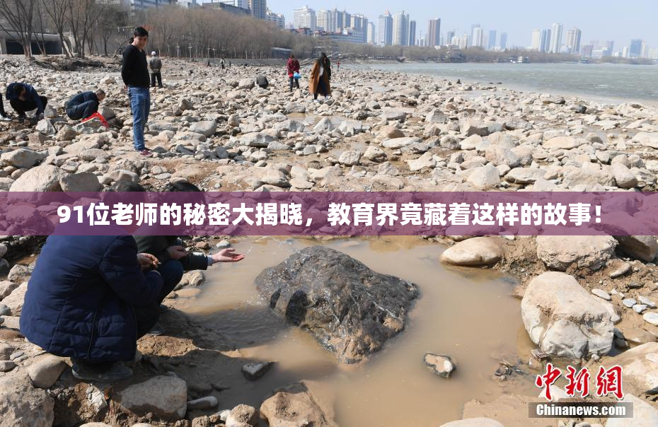 91位老师的秘密大揭晓，教育界竟藏着这样的故事！