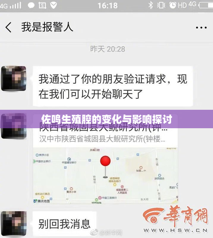 佐鸣生殖腔的变化与影响探讨
