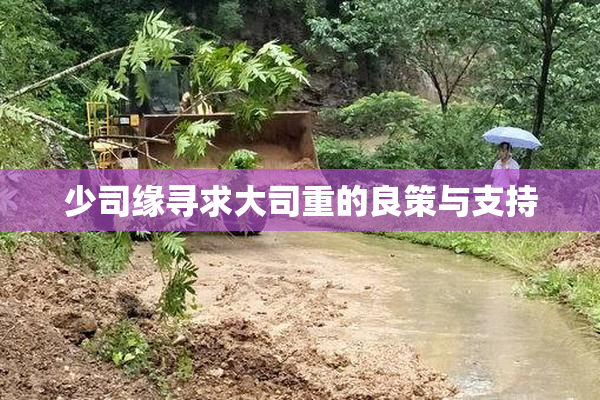 少司缘寻求大司重的良策与支持