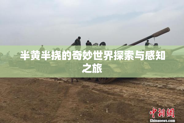 半黄半挠的奇妙世界探索与感知之旅