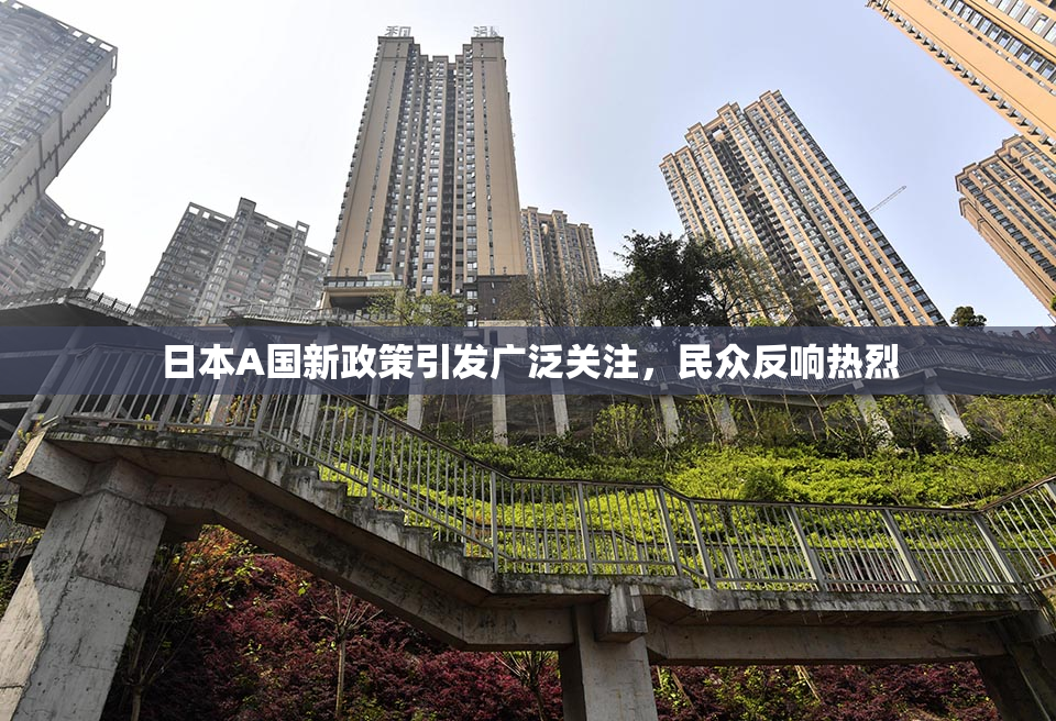 日本A国新政策引发广泛关注，民众反响热烈