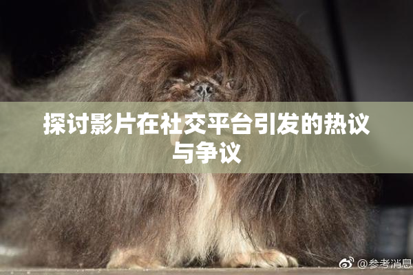 探讨影片在社交平台引发的热议与争议