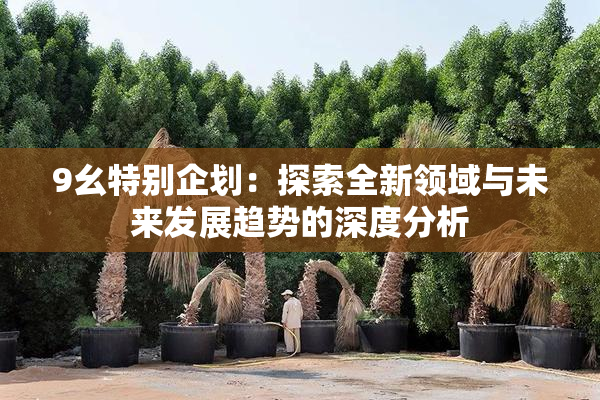 9幺特别企划：探索全新领域与未来发展趋势的深度分析