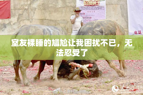 室友裸睡的尴尬让我困扰不已，无法忍受了