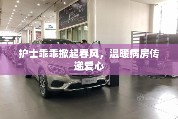 护士乖乖掀起春风，温暖病房传递爱心