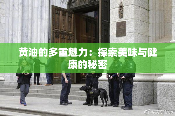 黄油的多重魅力：探索美味与健康的秘密