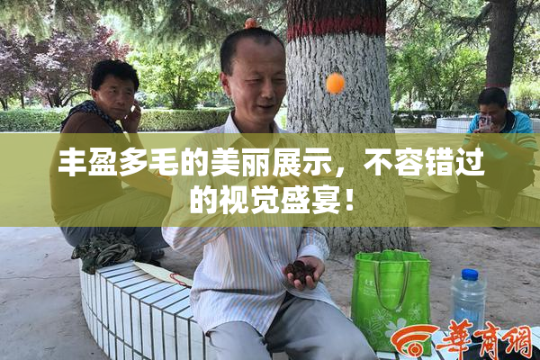 丰盈多毛的美丽展示，不容错过的视觉盛宴！