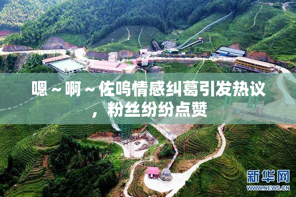 嗯～啊～佐鸣情感纠葛引发热议，粉丝纷纷点赞