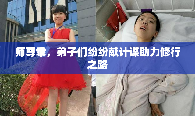 师尊乖，弟子们纷纷献计谋助力修行之路