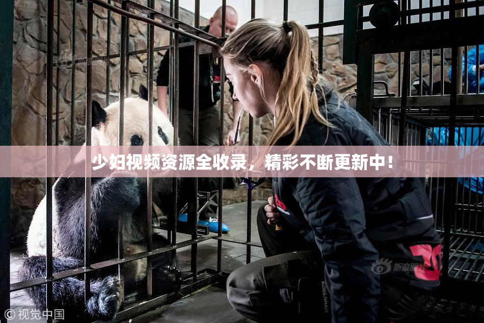 少妇视频资源全收录，精彩不断更新中！