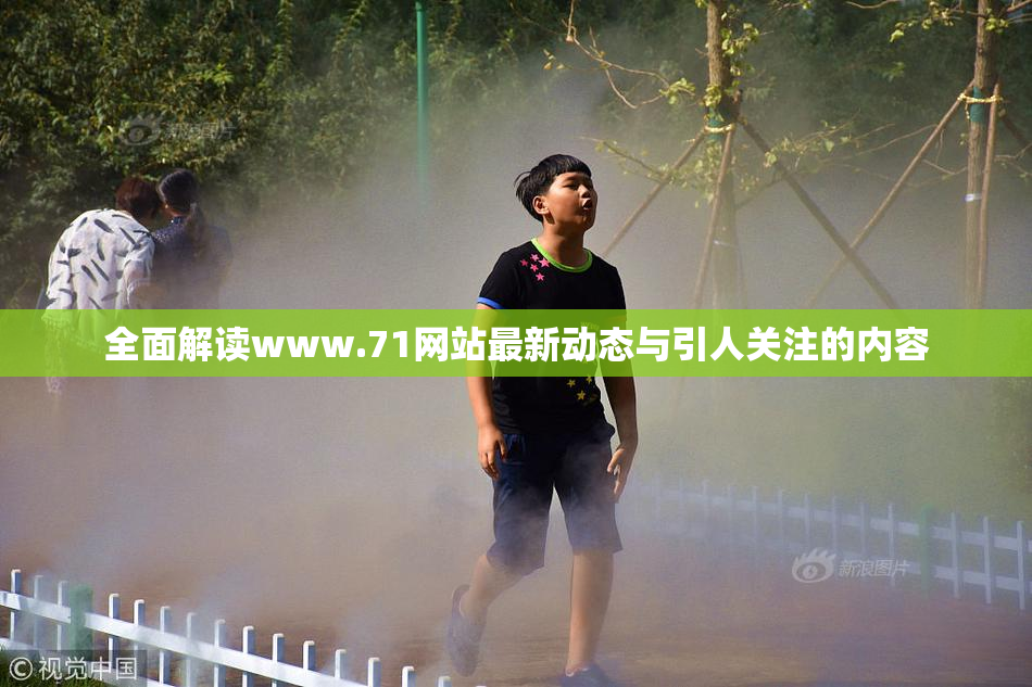 全面解读www.71网站最新动态与引人关注的内容