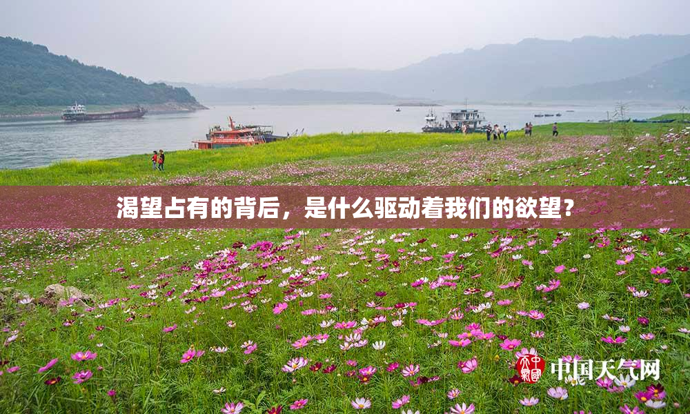 渴望占有的背后，是什么驱动着我们的欲望？