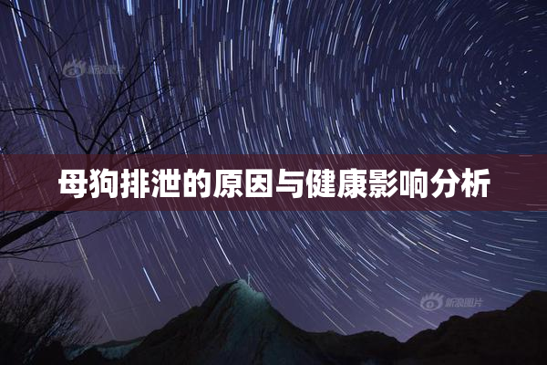 母狗排泄的原因与健康影响分析