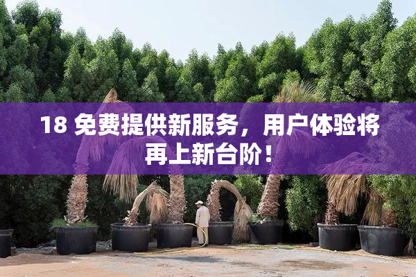 18 免费提供新服务，用户体验将再上新台阶！