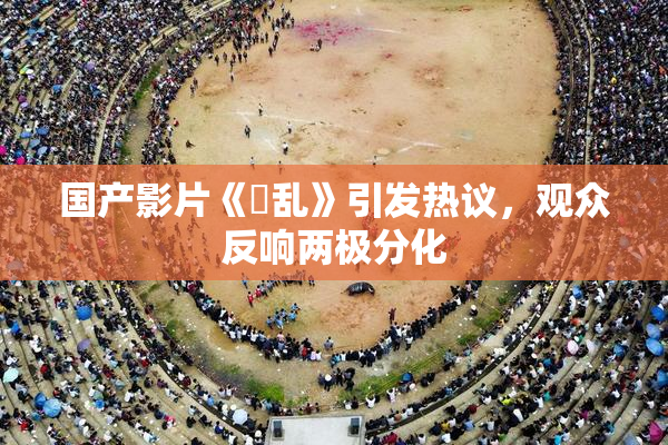 国产影片《婬乱》引发热议，观众反响两极分化
