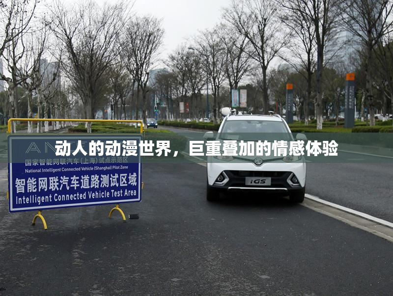 动人的动漫世界，巨重叠加的情感体验