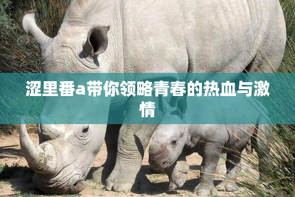 涩里番a带你领略青春的热血与激情