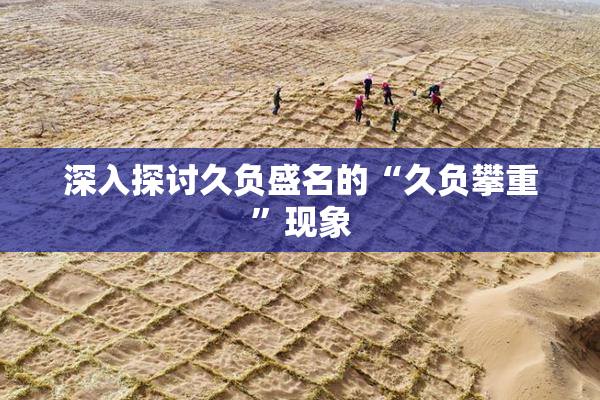 深入探讨久负盛名的“久负攀重”现象