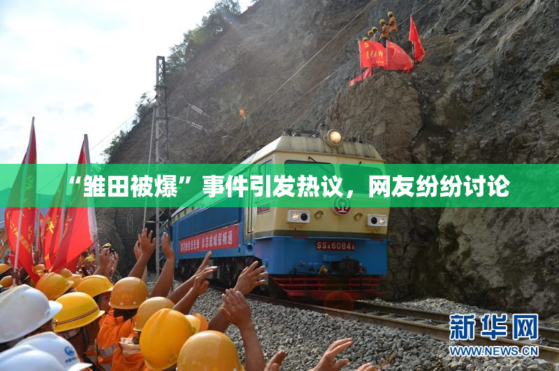 “雏田被爆”事件引发热议，网友纷纷讨论
