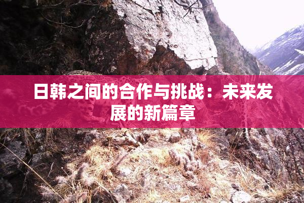 日韩之间的合作与挑战：未来发展的新篇章