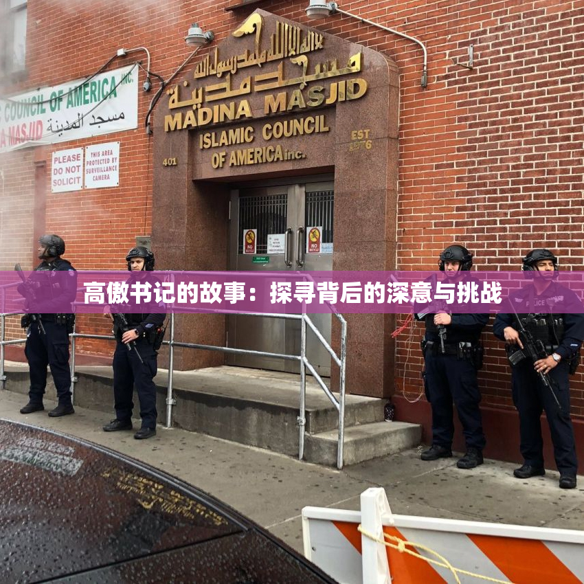 高傲书记的故事：探寻背后的深意与挑战